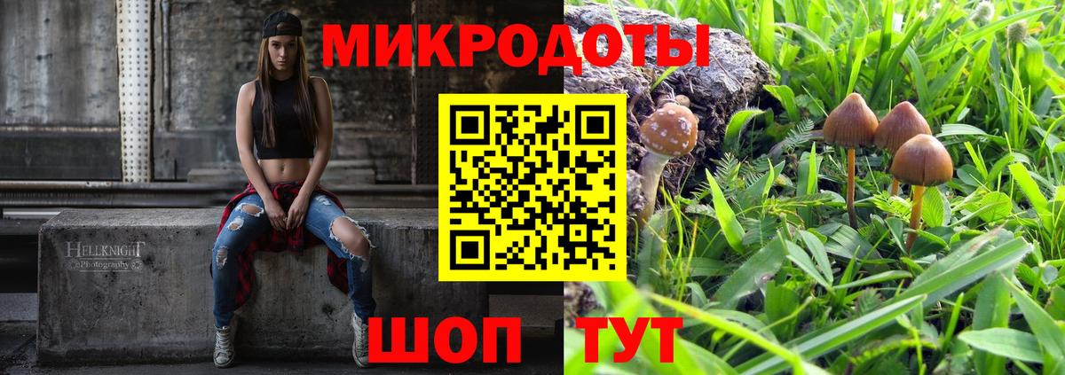 Псилоцибиновые грибы мухоморы Заводоуковск